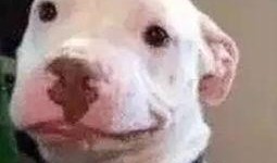 微信公众号娱乐圈吃瓜