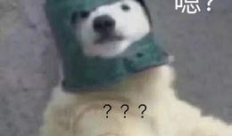 羊了个羊吃瓜娱乐