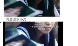 娱乐圈的吃瓜小说