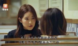 娱乐圈的吃瓜小说