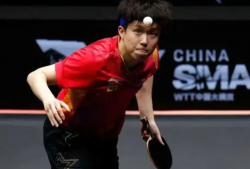 王楚钦吃娱乐圈瓜,揭秘明星幕后那些事