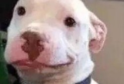 微信公众号娱乐圈吃瓜