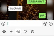 微信表情中吃瓜是什么意思