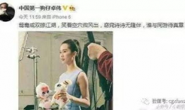 吃瓜娱乐刘诗诗,瓜田里的优雅女神